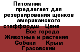 Питомник KURAT GRAD предлагает для резервирования щенков американского стаффордш › Цена ­ 25 000 - Все города Животные и растения » Собаки   . Крым,Грэсовский